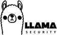 Llama Security | Servicios de Ethical Hacking | Ciberseguridad